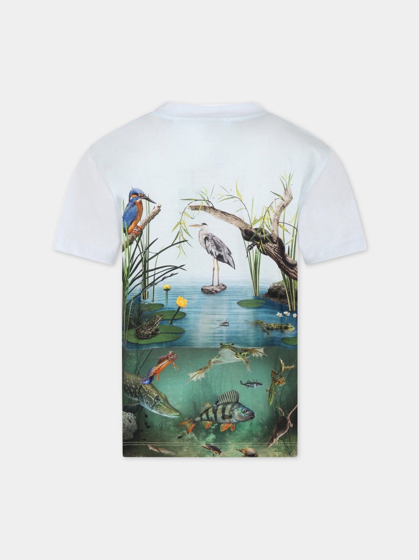 T-shirt multicolor per bambino con stagno,Molo,1S23A205 3231