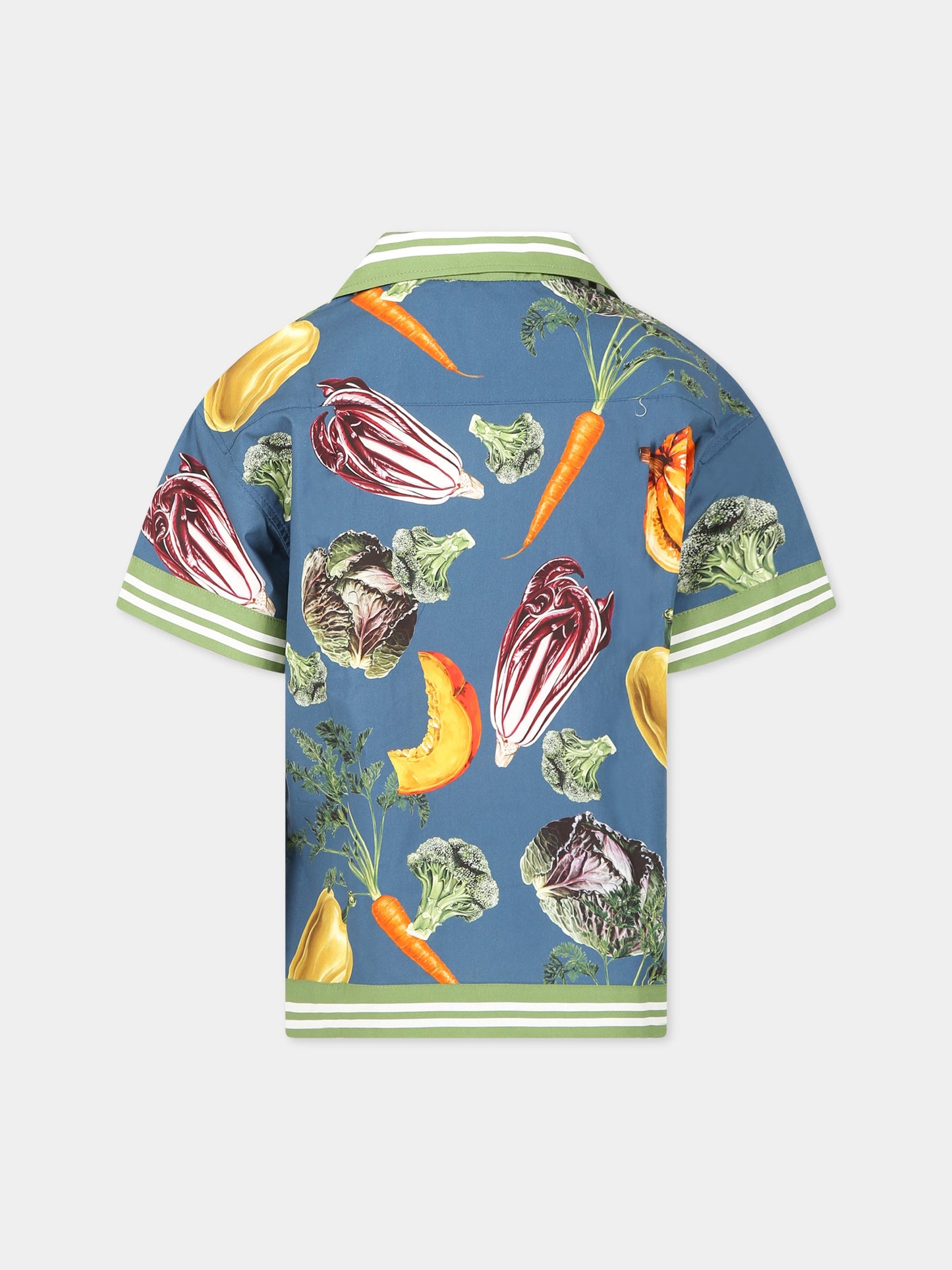Camicia multicolor per bambino con logo,Dolce & Gabbana Kids,L43S61 G7I0N HB4NQ
