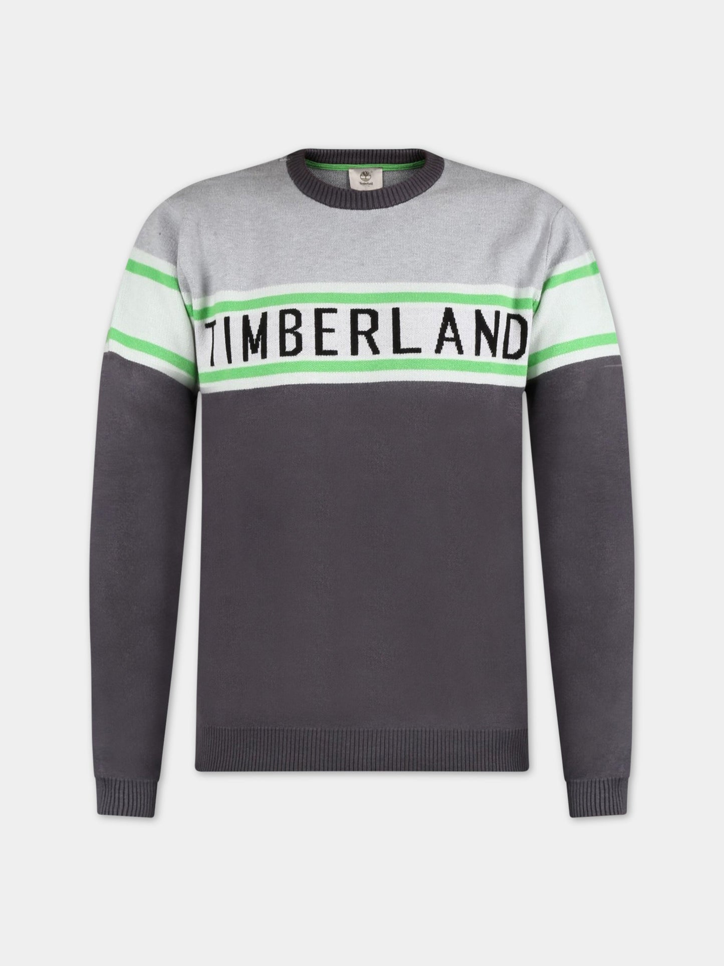 Maglione grigio per bambino con logo,Timberland,T25S54 063